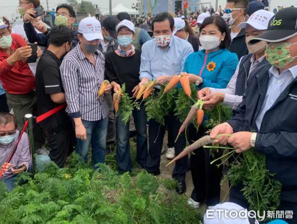 ▲雲林東勢鄉公所偕在地企業「VDS活力東勢」共同舉辦國際臺灣蘿蔔日暨農特產行銷，3月5日上千名民眾拔蘿蔔挑戰金氏世界紀錄，在倒數聲後，上千人一同把起蘿蔔創下紀錄。（圖／記者蔡佩旻攝）