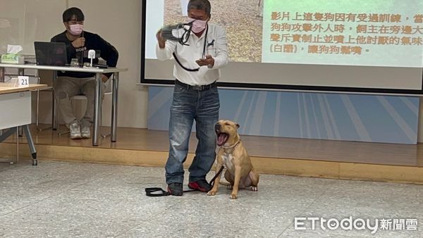 ▲▼比特犬教養講習，「布丁」坐陣示範。（圖／新北市政府動物保護防疫處提供）