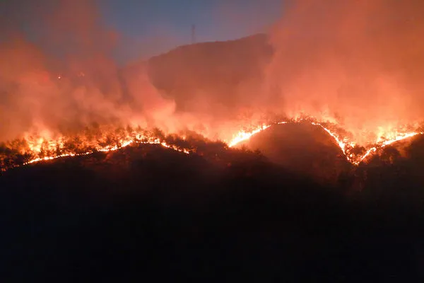 ▲南韓爆發山林大火。（圖／達志影像）