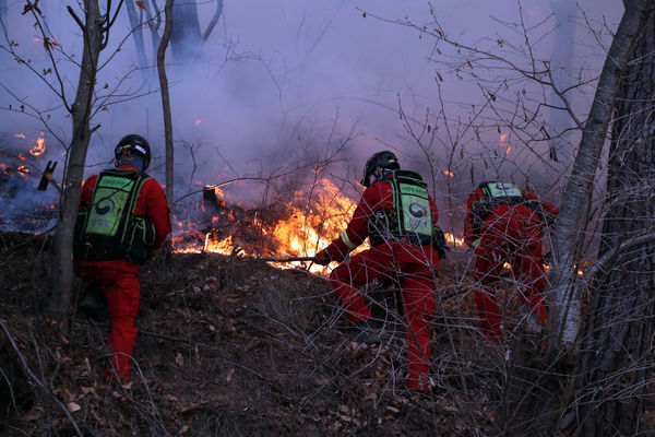 ▲南韓爆發山林大火。（圖／達志影像）