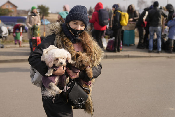 ▲▼許多烏克蘭難民，選擇帶著毛小孩一起逃難。（圖／達志影像／美聯社）