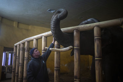 基輔動物園陷戰火包圍! 飼養員「每晚進柵欄陪睡」安撫受驚大象
