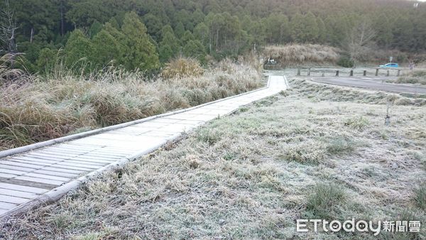 ▲▼寒流來襲，宜蘭太平山結霜。（圖／羅東林管處提供）