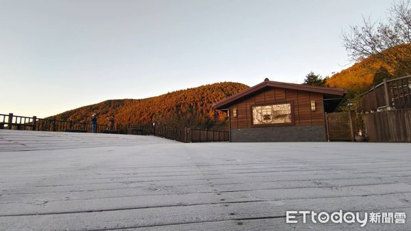 ▲▼寒流來襲，宜蘭太平山結霜。（圖／羅東林管處提供）