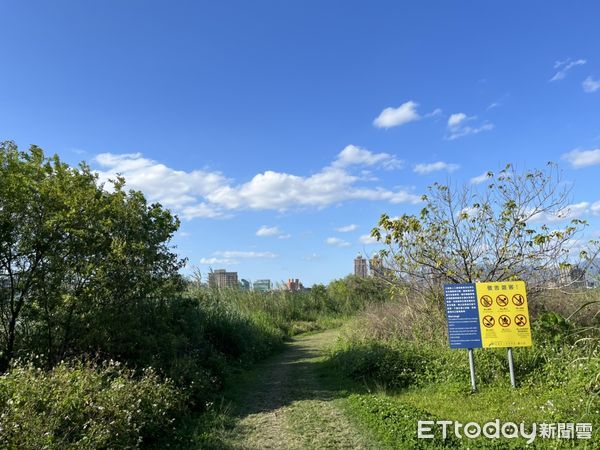 ▲▼板橋堤外濕地男屍。（圖／記者陳以昇翻攝）