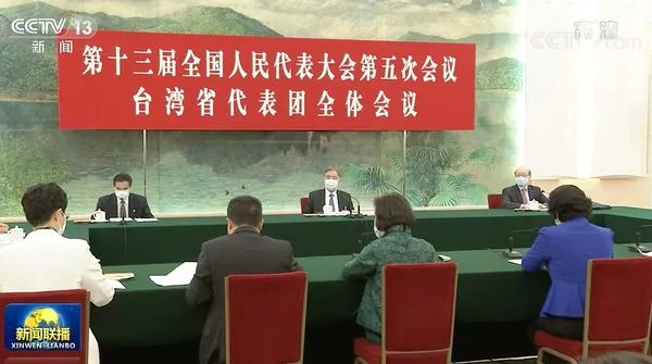 ▲▼ 2022兩會、中共中央政治局常委、全國政協主席汪洋今（9日）上午參加十三屆全國人大五次會議台灣代表團審議。           。（圖／翻攝 新聞聯播）