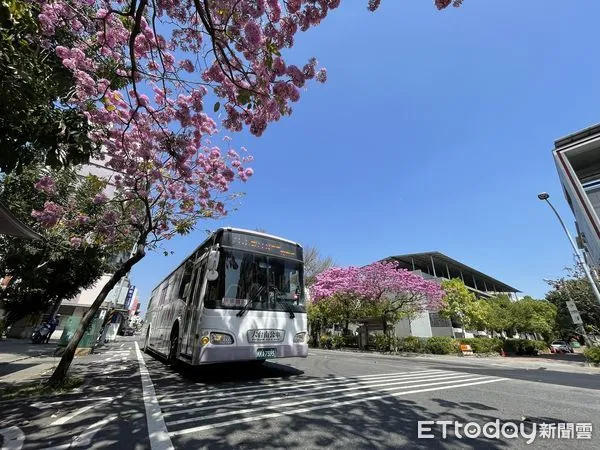 ▲大台南公車18路「大光國小」站候車亭兩旁紅花風鈴木今年也盛大開花，枝頭滿滿是美麗的粉紅花朵，被網友封為「台南最美公車站」。（圖／記者林悅翻攝，下同）