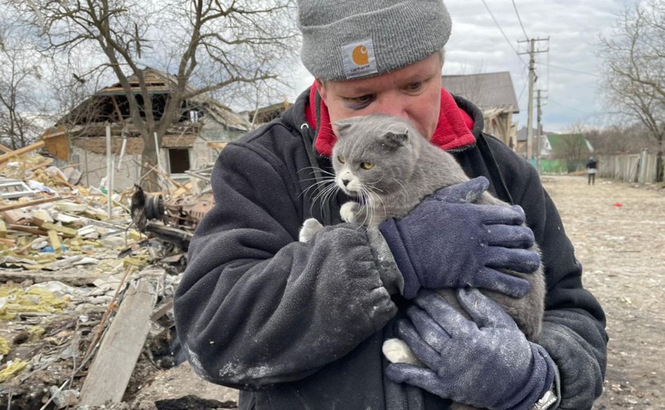 村莊被俄軍炸成廢墟　男瞬間「痛失5家人」無助抱搶救出來的貓。（圖／翻攝自Twitter）