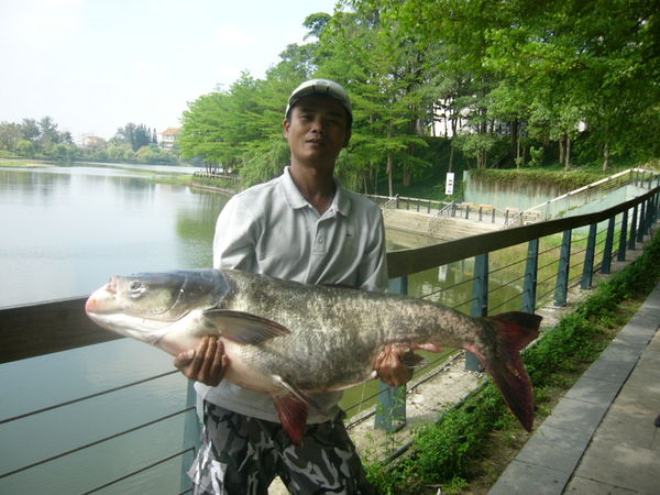 ▲▼台南虎頭埤釣魚比賽。（圖／記者林悅翻攝）