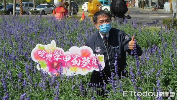 ▲台南市長黃偉哲在學甲蜀葵花田的「粉萼鼠尾草」前，呼籲大家來賞花。（圖／記者林悅翻攝，下同）