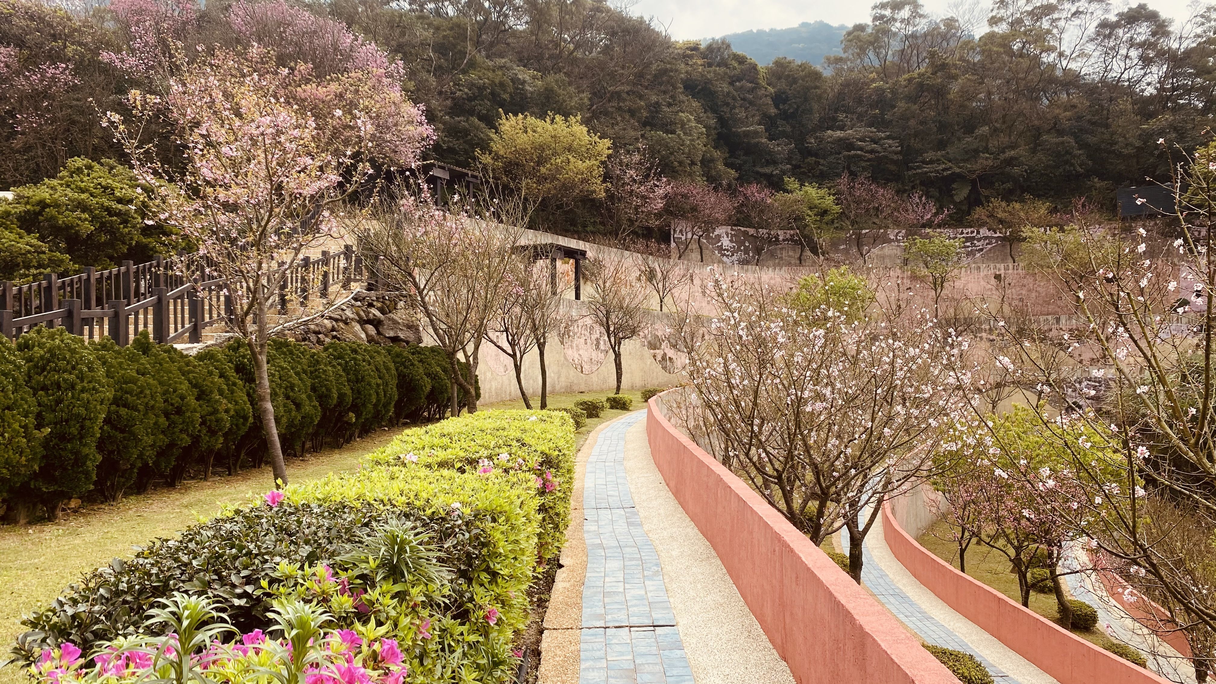 ▲邁入第十年！新北三芝櫻花生命園區 植存人數大幅攀升。（圖／新北市民政局提供）