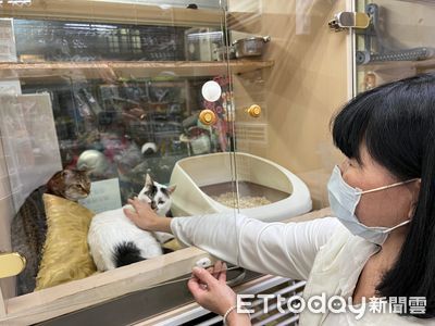 跟「公園浪貓約定」開啟26年愛媽人生!她撐起生命轉運站送養百隻