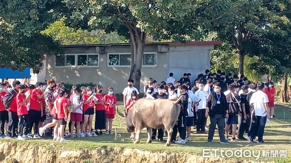 ▲台南市長黃偉哲表示，老牛的家全年無休，邀請大家在每個季節都能到老牛的家來享受慢活生活。（圖／記者林悅翻攝，下同）