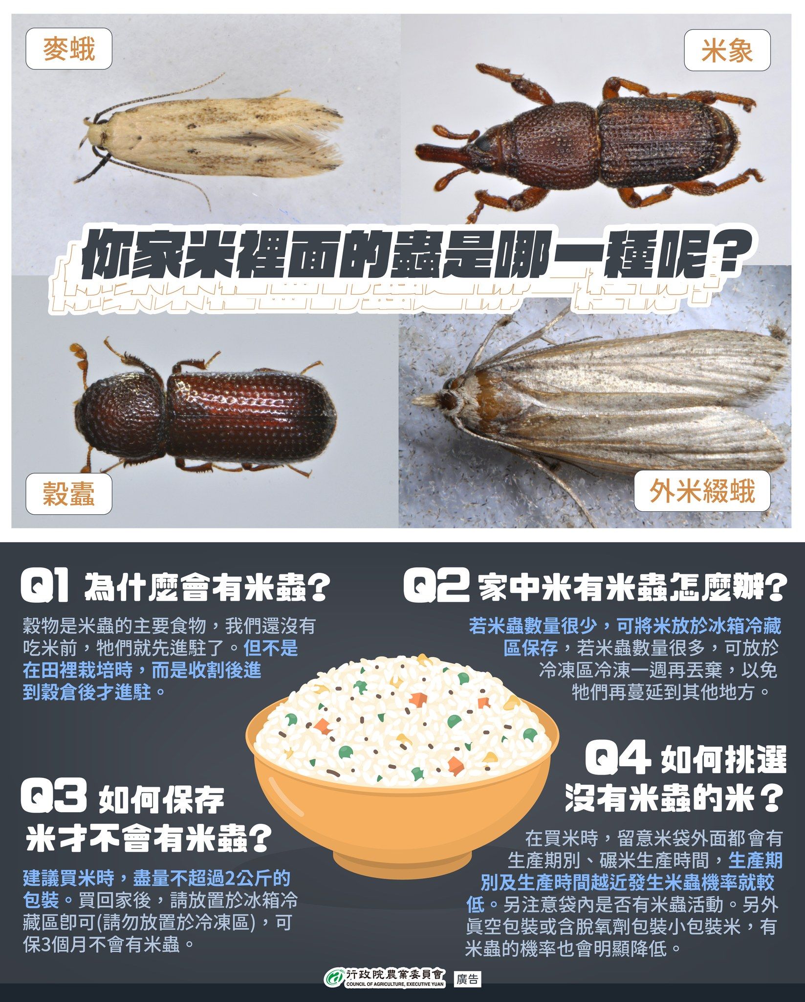 ▲▼農委會粉專介紹台灣常見的4種米蟲。（圖／翻攝自農委會粉專）