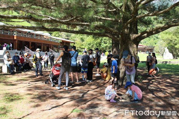 ▲繽紛太魯閣—賞花探祕山月之約活動計分2梯隊，各開放42名14戶家庭報名機會。（圖／太管處提供，下同）