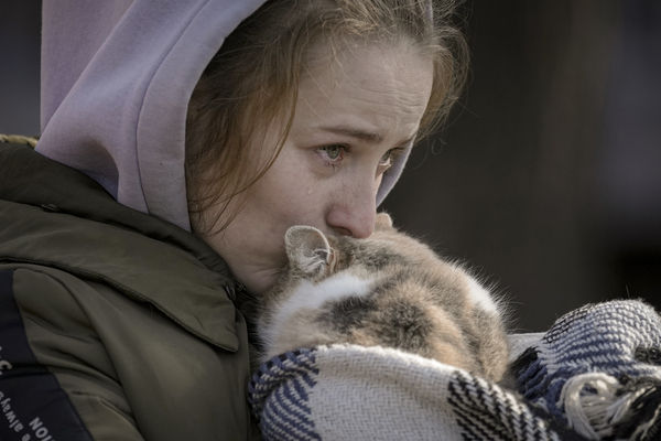 ▲▼烏克蘭母女攜4外出籠帶貓逃匈牙利　忍痛拋家園：我心仍在基輔。（圖／AP）