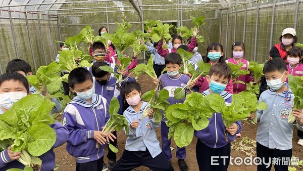 ▲新北淡水賞櫻休閒好去處 春遊踏青滬尾休閒農業區。（圖／新北市農業局提供）