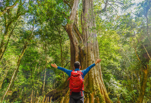 ▲▼台版大峽谷火炎山，司馬庫斯上帝遺忘的部落，阿朗壹古道賞台灣最美海岸線。（圖／可樂旅遊提供）