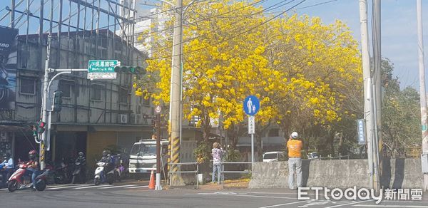 ▲▼八掌溪兩岸吳鳳南路段賞花人潮多，市府畫紅線管制車子隨意停亂象 。（圖／讀者提供）