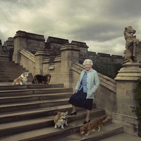▲▼英國女王伊莉莎白二世與她飼養的柯基犬。（圖／取自The Royal Family）