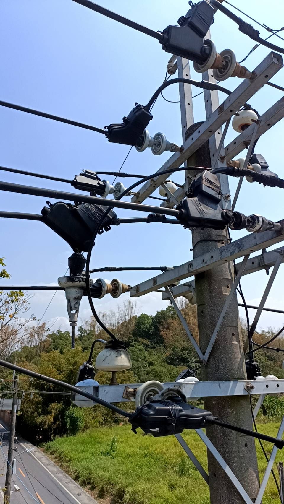 ▲▼高雄大社、燕巢2000戶停電原因找到，「竟是一隻鳥害的」。（圖／台電提供）