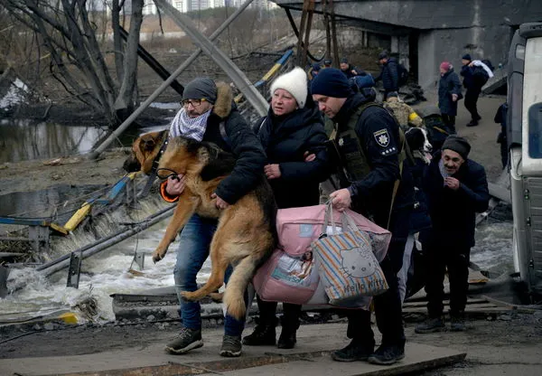 烏克蘭民眾帶愛犬逃難（圖／路透）