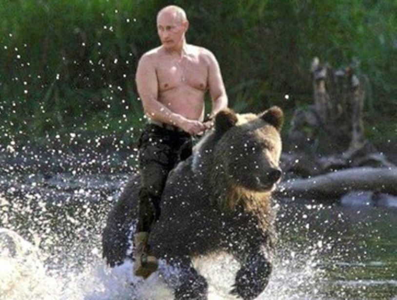 ▲▼ 俄羅斯總統普丁騎著熊。（圖／翻攝自推特）