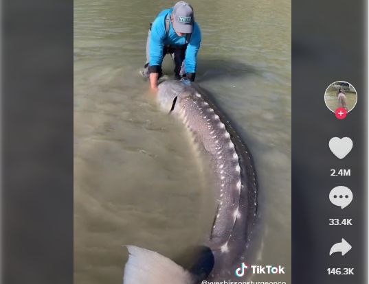 捕獲3公尺「活化石巨魚」！ 他曝驚人影片：宛如侏儸紀| ETtoday寵物雲| ETtoday新聞雲