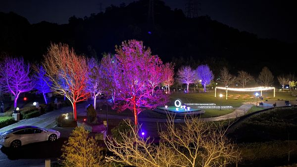 ▲「2022夜遊慈湖-水岸光影季」將於3月18日揭幕。（圖／桃園市風管處提供）