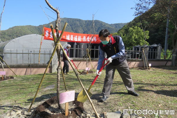 ▲台中榮總埔里分院舉辦植樹節活動，於院區種下13株八重櫻。（圖／台中榮總埔里分院提供）