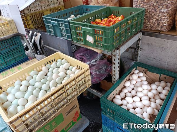 ▲飼料高漲彰化蛋農快撐不住了。（圖／記者唐詠絮攝）