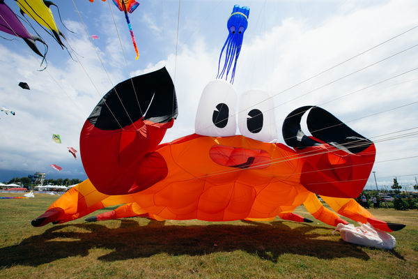 ▲「2022桃園國際風箏節」將在3/26、3/27於大溪中庄調整池景觀土丘登場。（圖／桃園市觀旅局提供）