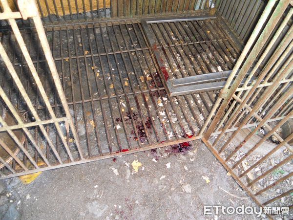 ▲▼             。（圖／記者李陳信得攝）