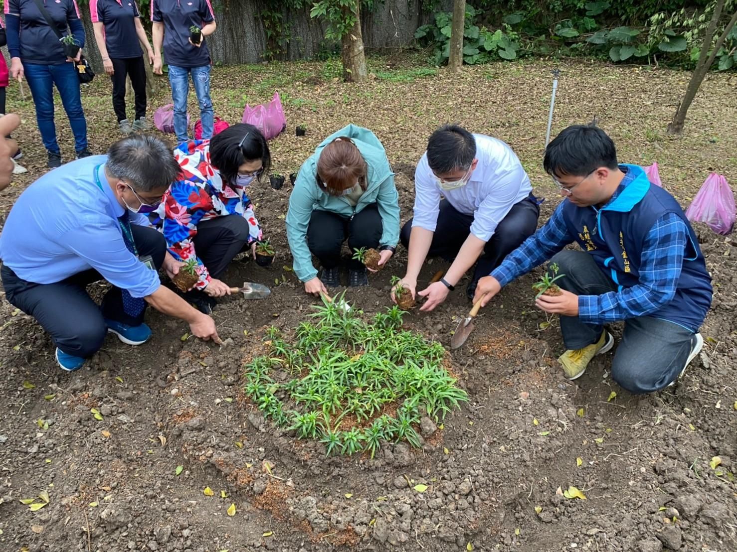 ▲台灣百合復育生力軍在金山國小 打造原生植物基地永續校園。（圖／新北市金山國小提供）