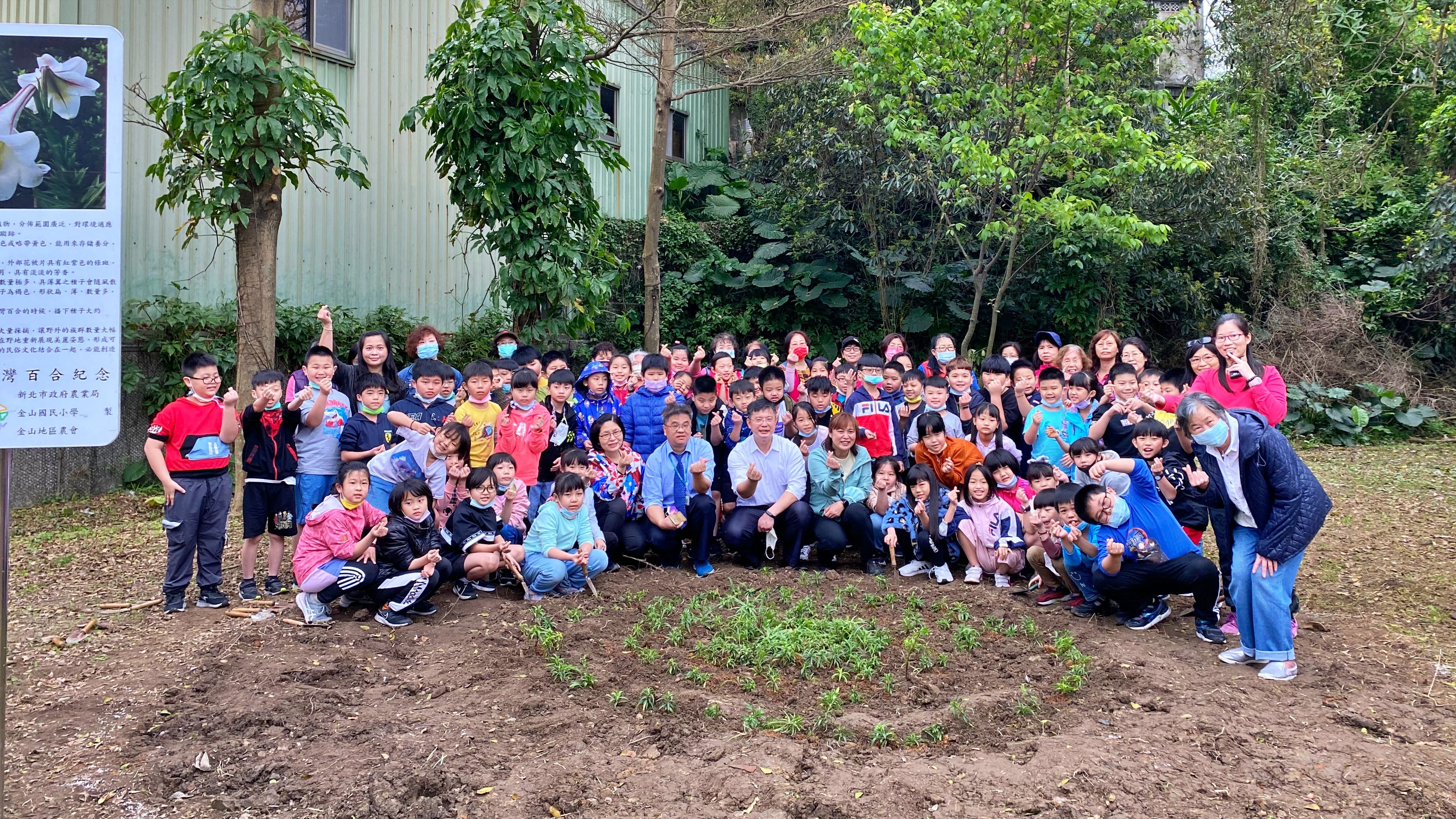 ▲台灣百合復育生力軍在金山國小 打造原生植物基地永續校園。（圖／新北市金山國小提供）