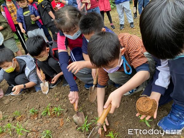 ▲台灣百合復育生力軍在金山國小 打造原生植物基地永續校園。（圖／新北市金山國小提供）