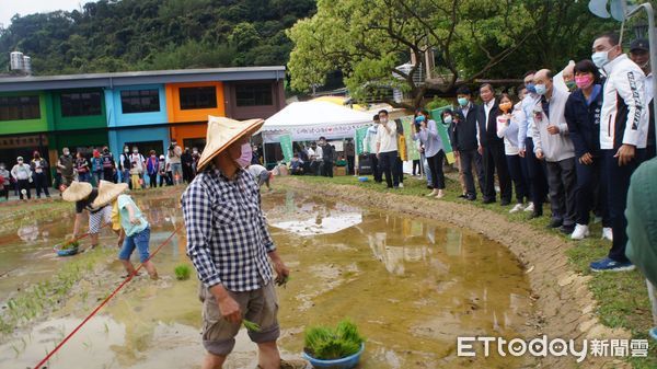 ▲新北汐止農會休閒中心完工啟用 長輩樂活體驗親子插秧趣。（圖／新北市農業局提供）