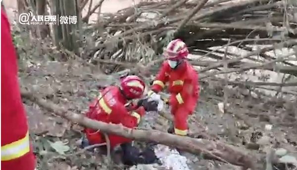 ▲▼東航已發現失事殘骸碎片。（圖／翻攝自微博／人民日報）