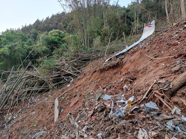 ▲▼中國東航一架波音737-800型客機21日於廣西梧州藤縣墜落。（圖／路透）
