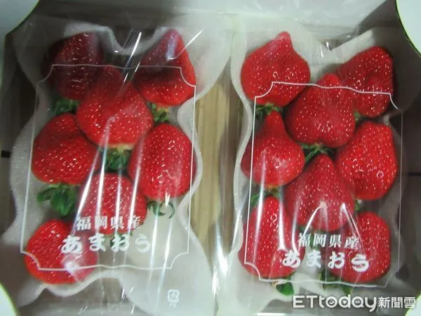 ▲▼食藥署3/22公布邊境檢驗，日本的草莓共有9批不合格，分別來自福岡、熊本、佐賀等地。（圖／食藥署提供）