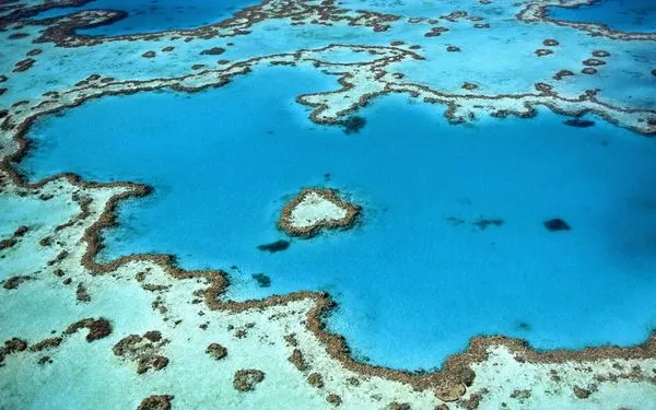 ▲大堡礁,Great Barrier Reef, Heart Reef。（圖／取自免費圖庫Unsplash）