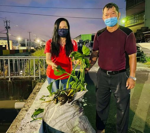 ▲布袋蓮清淤議員賴清美被恐嚇。（圖／賴清美提供）