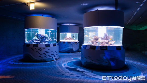 ▲「潮境智能海洋館」將於3月25日在潮境公園開幕。（圖／記者彭懷玉攝）