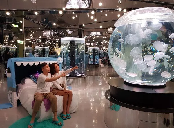 ▲Blu Night宿海奇遇海洋系夜宿體驗