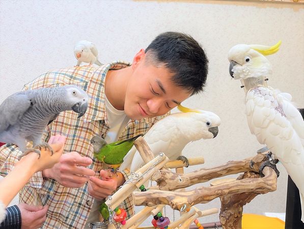 ▲游書庭拜訪台灣鳥類救援協會，見到自啄羽毛(右)、鳥嘴遭削除(左手腕)被救援鸚鵡。（圖／艾迪昇傳播提供）