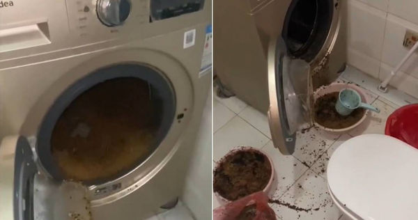 女子把枕頭丟進洗衣機洗，結果大爆炸。（圖／翻攝自微博）