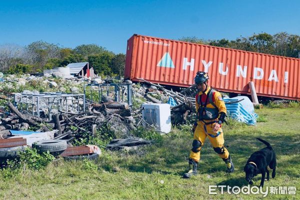 ▲半夜地震警報狂響　搜救犬翻肚躺「放棄逃生」看傻爸：很不稱職？（圖／Tyfd-K9桃園搜救犬隊提供）