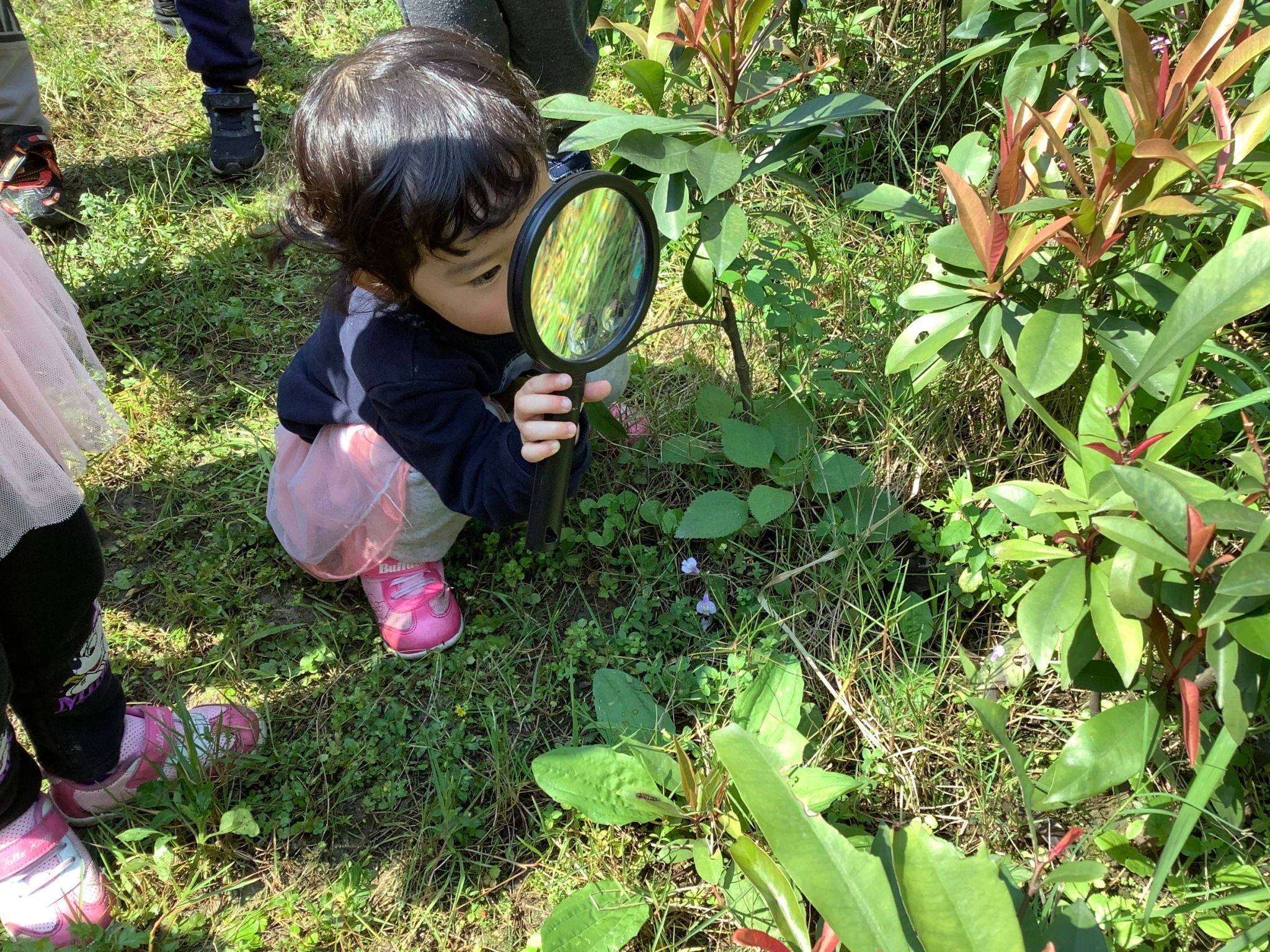 ▲▼國教署推動「幼兒園輔導計畫」，輔導幼兒園串連2至6歲幼兒園的學習經驗，圖為基隆市長樂國小附幼應用五感體驗來學習。（圖／教育部提供）