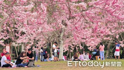 桃花林音樂季　全台四月最浪漫就在台東鹿鳴酒店