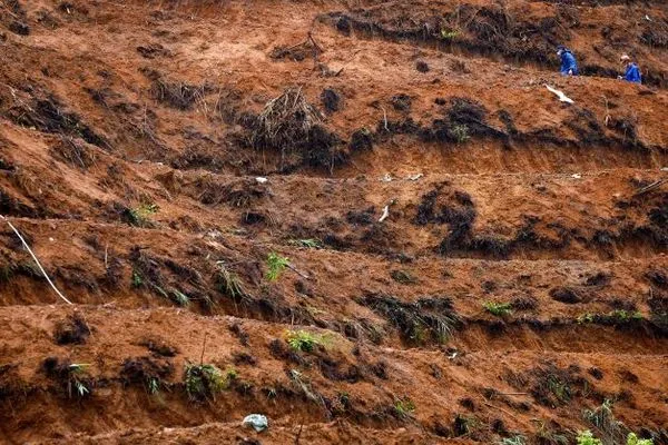 ▲▼中國東方航空班機在廣西失事墜毀現場。（圖／路透）